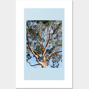 Gumtree Australia Posters and Art